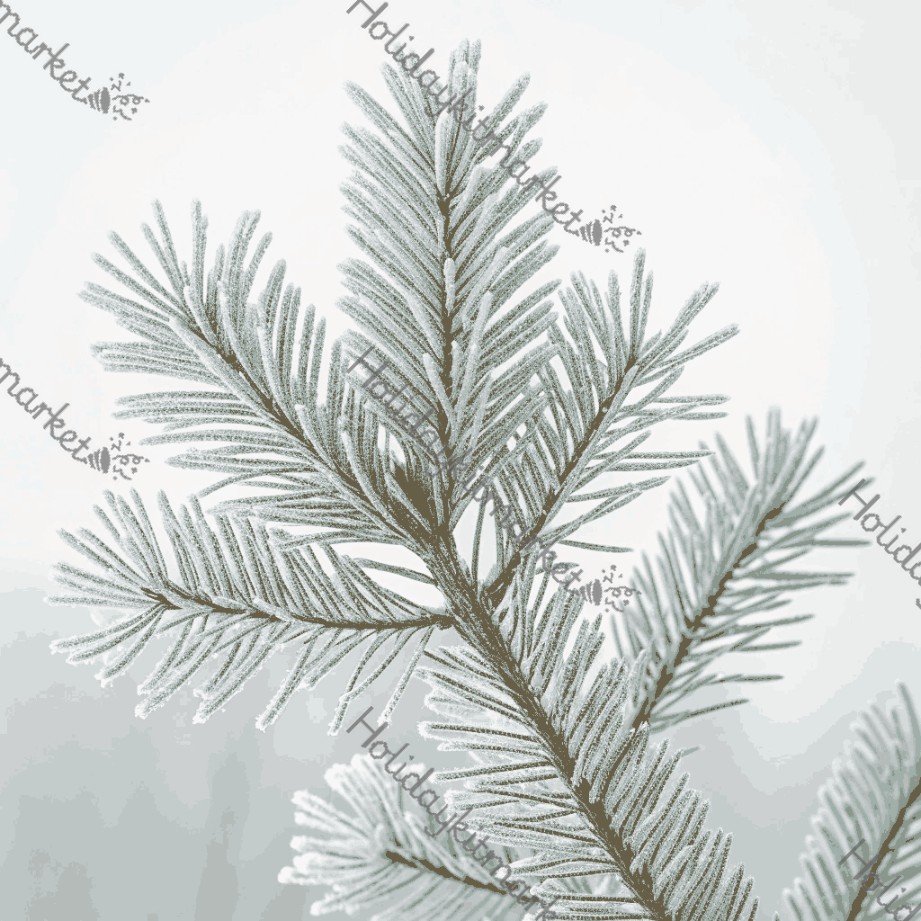 Frosted Pine Branch Poster