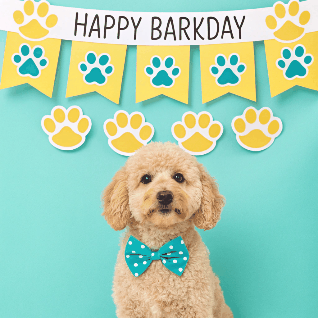 Personalized Pet Party Kit